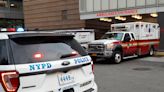 Anciana muere arrollada por auto que huía de la policía a pocas horas de nueva ley Sammy para proteger a peatones en Nueva York - El Diario NY