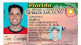 Qué documentos necesitan los extranjeros para pedir ya la licencia de conducir en Miami