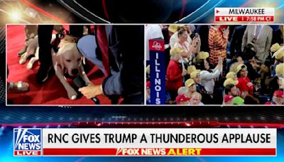 Fox News Airs Dog Interview Over Kimberly Guilfoyle’s RNC Speech