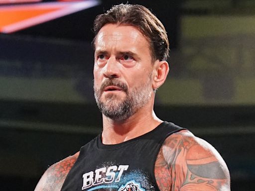 CM Punk Posts Cryptic Message On Social Media As WWE Contract Rumors Swirl - Wrestling Inc.