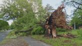 Rock Hill thunderstorm had 90 mph winds, storm investigators find