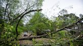 One storm-related death, Pearl River may crest above flood stage, power outages rise