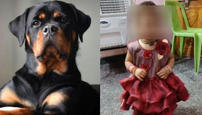 Chennai Dog Attack Incident: 5-Year-Old Girl Is Healthy, To Undergo Surgery On Thursday