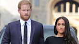 Harry and Meghan's own biographer warns public already suffering with 'Sussex fatigue'
