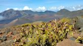 'What makes Hawaii Hawaii?' Exploring Hawaiian heritage at Haleakalā National Park