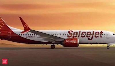 SpiceJet Aims for Fleet of 100 in 2 Yrs