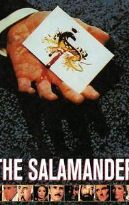The Salamander (1981 film)