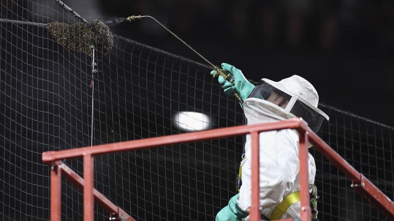 Swarm of bees delays Arizona Diamondbacks vs. Los Angeles game in Arizona. A ‘MVP’ beekeeper came to the rescue | CNN