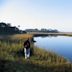 Little Talbot Island State Park