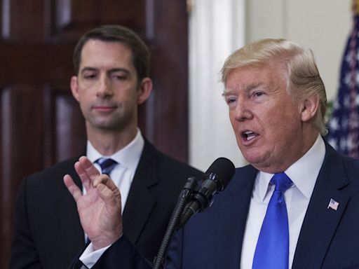 Trump running mate contender Sen. Tom Cotton called 'a workhorse, not a show horse'