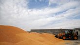 France sees maize area up nearly 10% in shift to spring crops