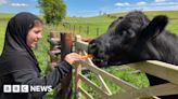 Skipton farm centre gives pupils a taste of rural life