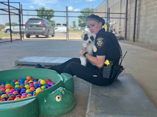 Paw Patrol! How this Tarrant sheriff’s deputy saved eight puppies on a triple-digit day