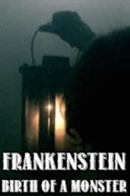‎Frankenstein: Birth of a Monster (2003) directed by Mary Downes ...