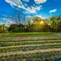 Yankee Street Farm and Garden, LLC