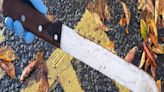 Machete on primary school grounds leads to work to put children on right path