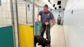 Dog days: Licking County Dog Shelter cuts adoption fee due to overcrowding