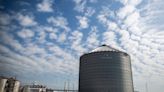 How much benefit can farmers expect from ethanol plant carbon capture? It's hard to say