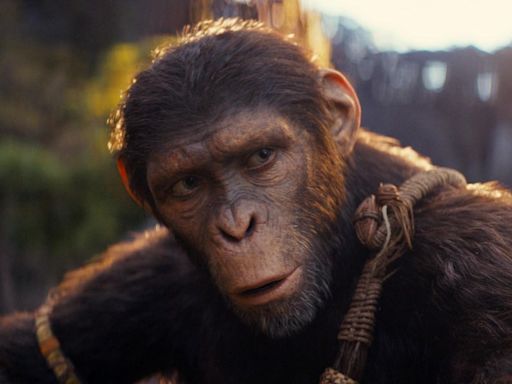‘Kingdom Of The Planet Of The Apes’ Star On Meaning Of Telescope Scenes