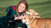 Sarah Ferguson Gives Update on Queen Elizabeth's Corgis on 1st Anniversary of Her Death