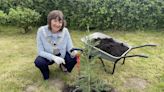 Ribble Valley Redwood tree planting to battle climate change