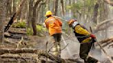 Alarma en la Patagonia: unas 5000 hectáreas de bosque arden en Tierra del Fuego