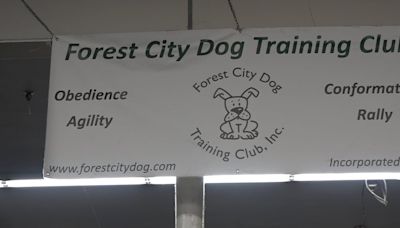 ‘Brotherhood of dog people’: Dog training club shows off to public