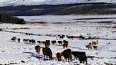 Ingresó un frente frío: lluvias para el Alto Valle y Bariloche, y alerta por nieve en el norte neuquino - Diario Río Negro