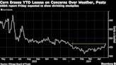 Corn Erases 2024 Losses on Concerns Over Tight Global Supplies