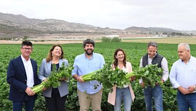 López Miras: "Sánchez vino ayer a la huerta de Europa a hablar del fango y de Milei"