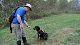 K-9 Tasha, search dog with Allegheny Mountain Rescue Group, forced to retire after cancer diagnosis