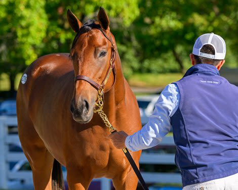 Justify Yearlings a Big Draw for Keeneland September