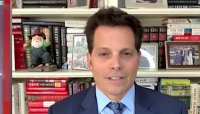 Anthony Scaramucci Lays Out How He Believes Democrats Can Beat Trump