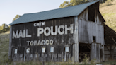 A familiar site for many driving down rural roads in West Virginia is the name Mail Pouch Tobacco painted on barns and bridges What is Mail Pouch Tobacco? And why is it painted in odd places