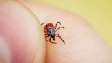 Mark Rutledge: Never fall asleep during tick season with enemy in hand