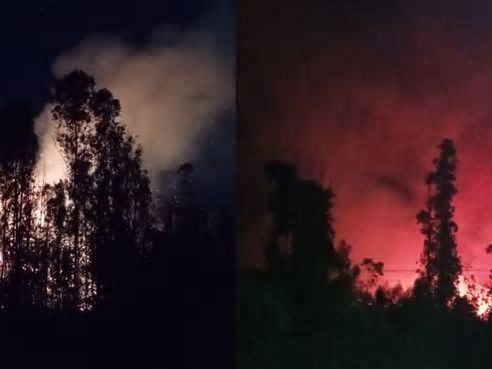 Declaran Alerta Roja por incendio forestal que afecta a sector de Camino La Pólvora en Valparaíso