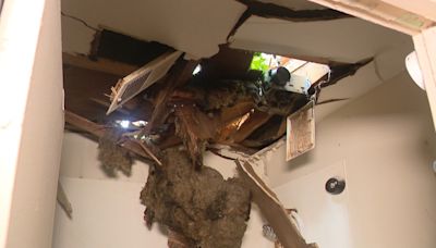 Gastonia family's destroyed house not covered by insurance