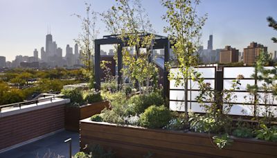 A Green Roof Could Slash Your Energy Bill in All This Heat