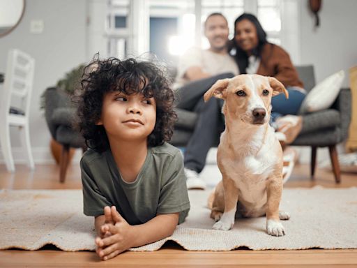 Gadgets esenciales para mantener a tu mascota segura en casa