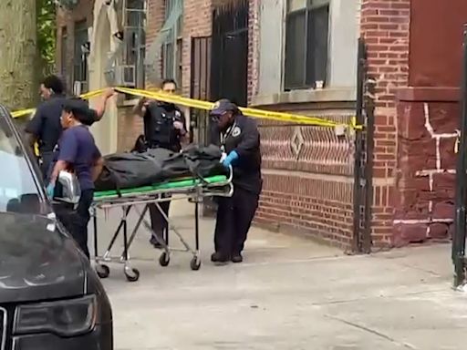 Mujer hispana y su pareja son hallados sin vida en el Bronx; investigan posible homicidio - suicidio