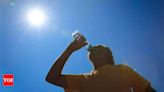 1 4 3 heatstroke deaths this year: Health ministry; TOI data puts no. at 209 | India News - Times of India