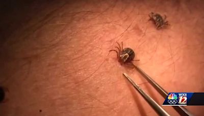 'This thing will knock you down if you don't get it treated': Lyme disease cases on rise throughout North Carolina