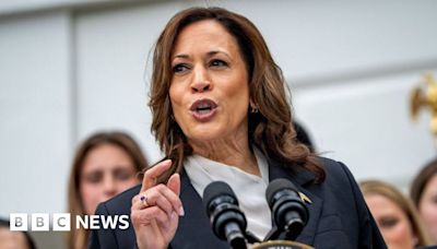 Kamala Harris slams Trump over 'fear and hate' at first rally