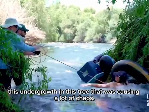 New video shows harrowing rescue of 100+ people trapped on Salt River