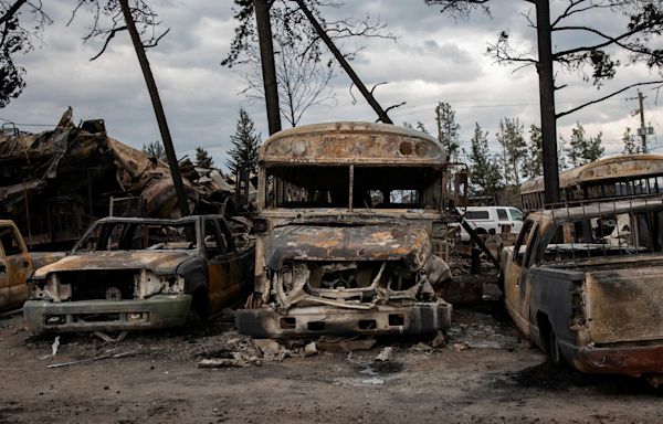 First images of Jasper after 100m high wildfire hit