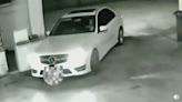 Woman Crashes Her Mercedes In The Dumbest Way Possible