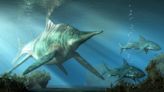 史上最巨大海洋生物 遠古巨型魚龍在英國出土(圖) - 生物奇觀 -