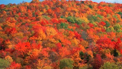 This Boutique Hotel In Vermont Has Launched A Fall Foliage Hotline