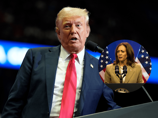 Donald Trump lanzó duro ataque a Kamala Harris, potencial candidata a la Presidencia de EE.UU. - El Diario NY