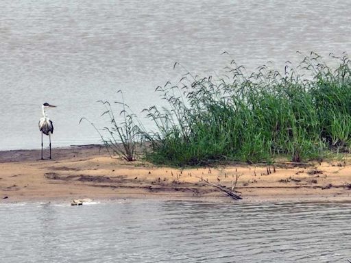 El río Paraná se recupera: volvería a superar los tres metros en Santa Fe